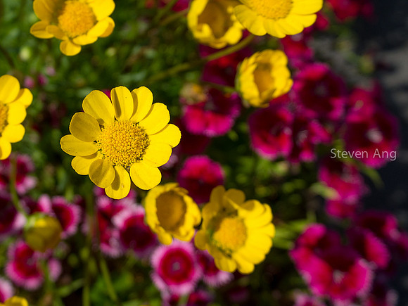 E-M10-5100053