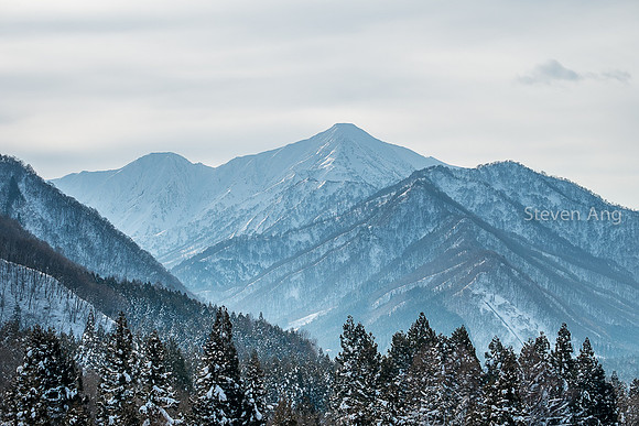 Niigata-1120