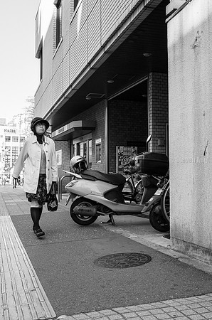 Enoshima-0020126